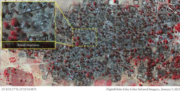 L'immagine di Doro Baga scattata il 7 gennaio dopo l'attacco di Boko Haram mostra che quasi tutte le strutture sono state rase al suolo. Le zone rosse indicano la vegetazione rimasta intatta (DigitalGlobe)