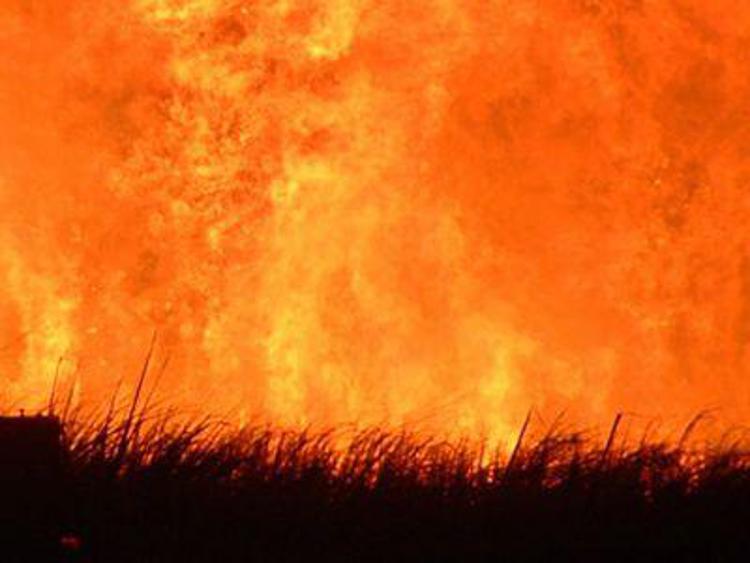 Australia: vasto incendio nel Sud, migliaia di abitanti in fuga