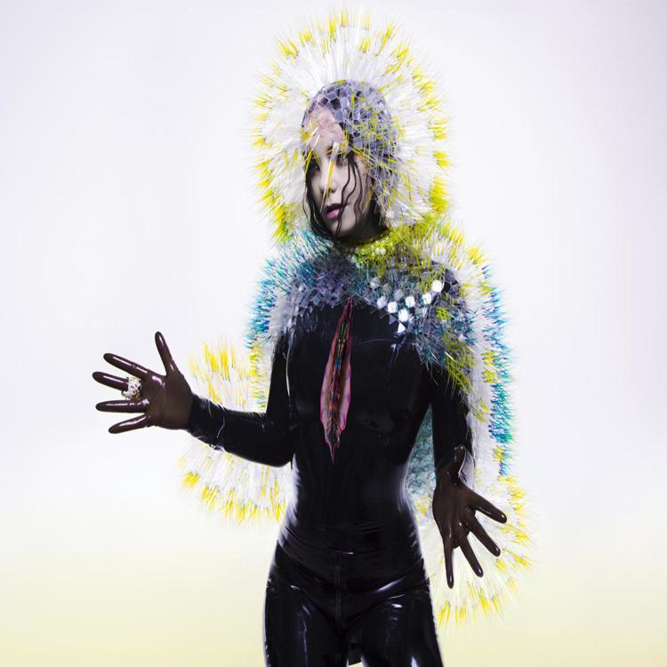 Björk sulla copertina di 'Vulnicura'