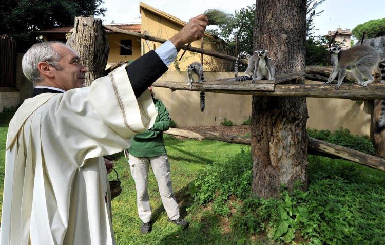 La benedizione dei lemuri al Bio parco di Roma (foto di Massimilano Di Giovanni) 