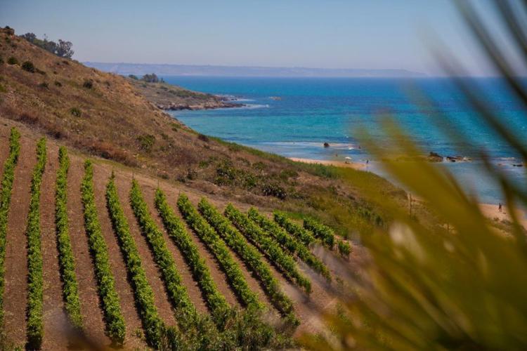 Agroalimentare: in Sicilia arriva 'Passaporto del gusto' per eccellenze