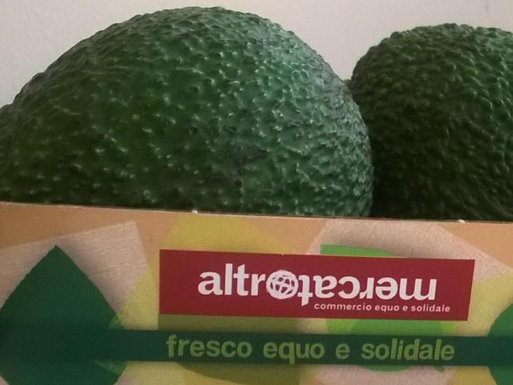 Alimenti: arriva l'avocado solidale made in Sicily