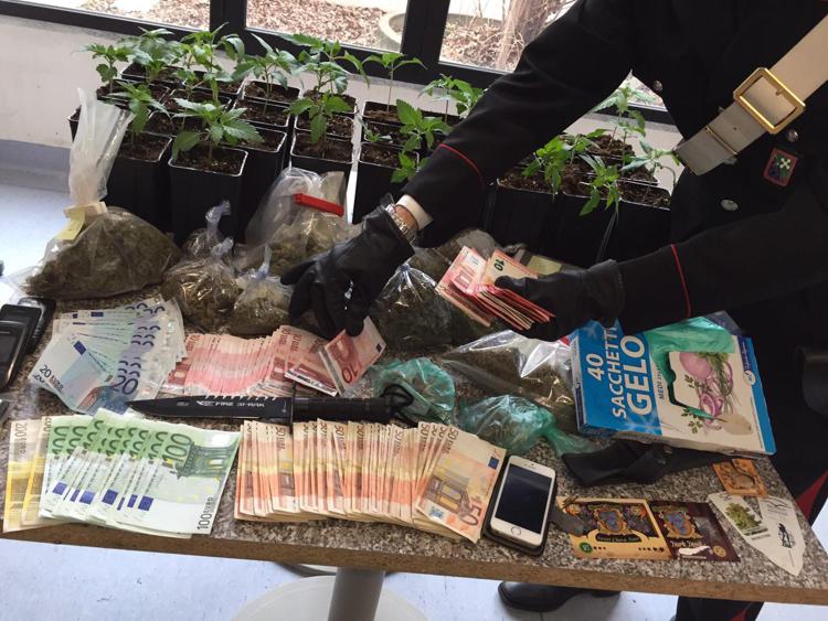 Como: coltivava in casa marijuana, arrestato 27enne