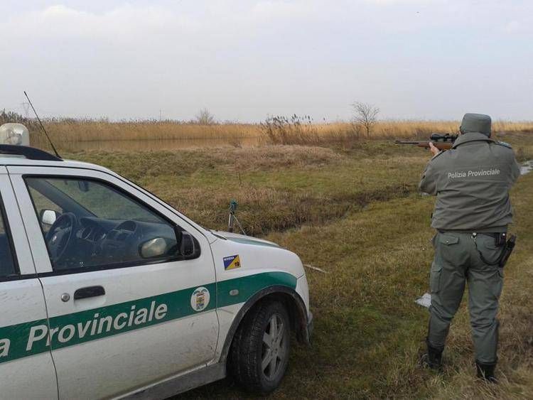Pelle Per Grancassa Wambooka '909' - Doppio Strato Idraulico Trasparente, 22", Con 2 Sordine Intercambiabili