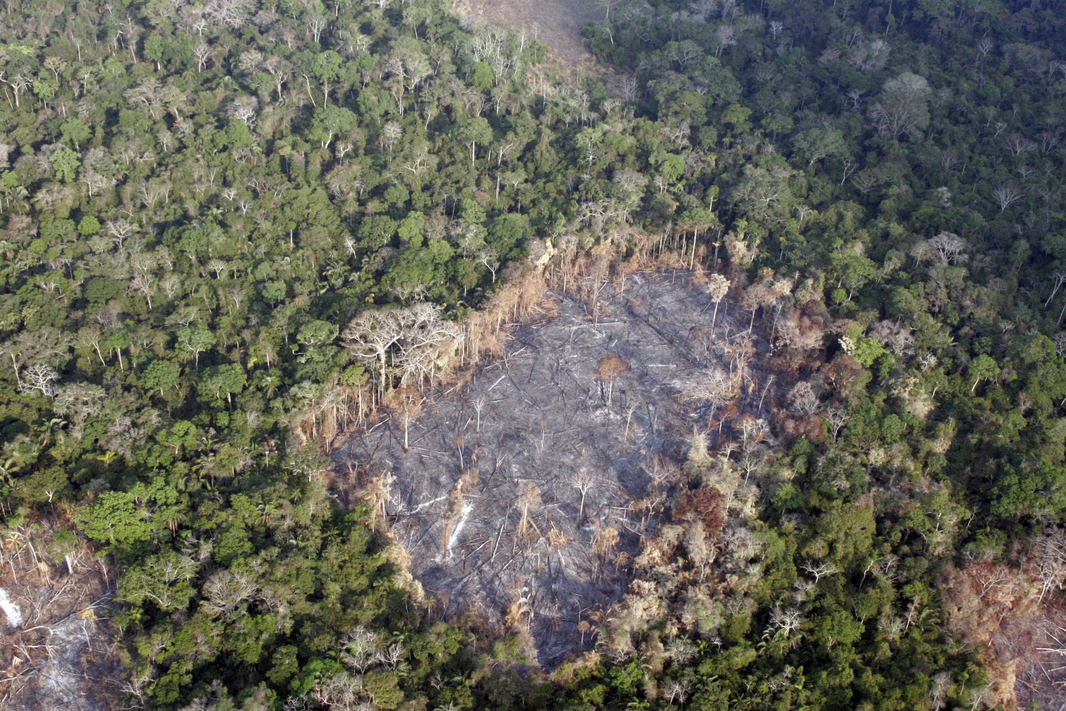 Vista aerea di un'area devastata della foresta Amazzonica tra le città di Xapuri e Rio Branco, Brasile.