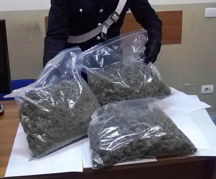 Napoli: sequestrati 4,5 kg di marijuana, un arresto