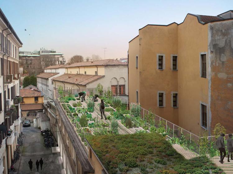 Sostenibilità: insalata al posto del cemento, da Milano il progetto 'Orto tra i cortili'