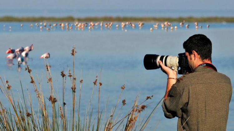 Nel Parco del Delta del Po 13 settimane da vivere intensamente tra birdwatching e turismo naturalistico