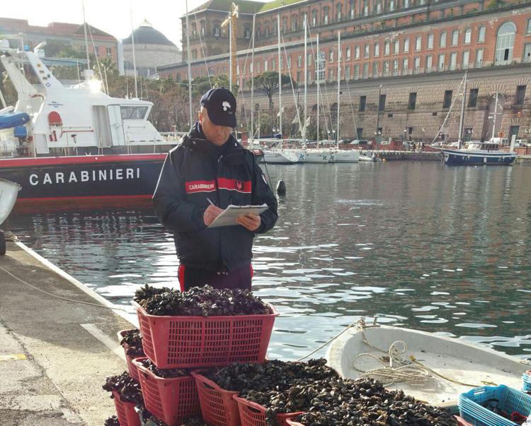 Alimenti: Napoli, sequestrato un quintale di cozze pescate in zone inquinate