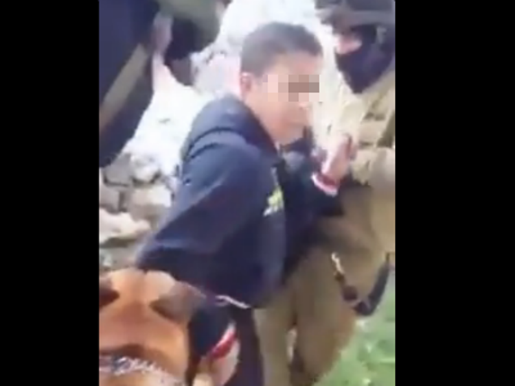Israele: ragazzino palestinese attaccato da cani esercito, polemica