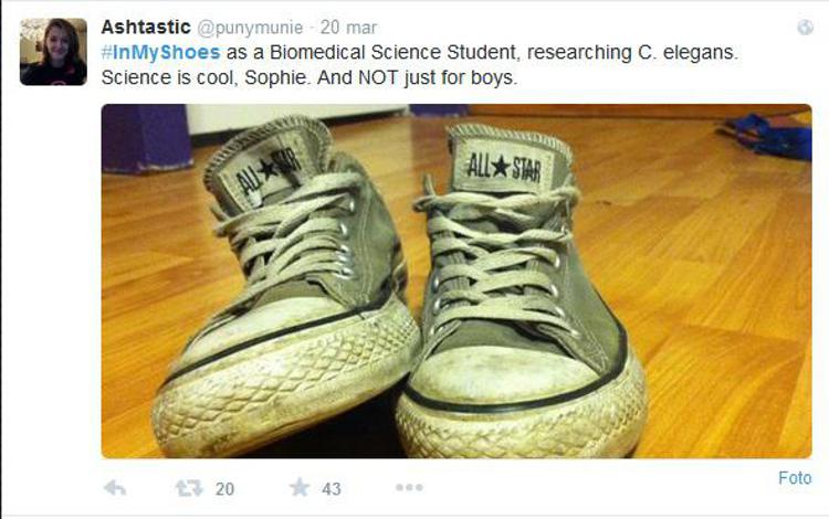 Scienza: dinosauri non sono da maschi, protesta bimba su Twitter