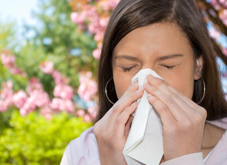 Salute: 'inferno' rinite allergica per 1 liceale su 5, mix pollini e graminacee
