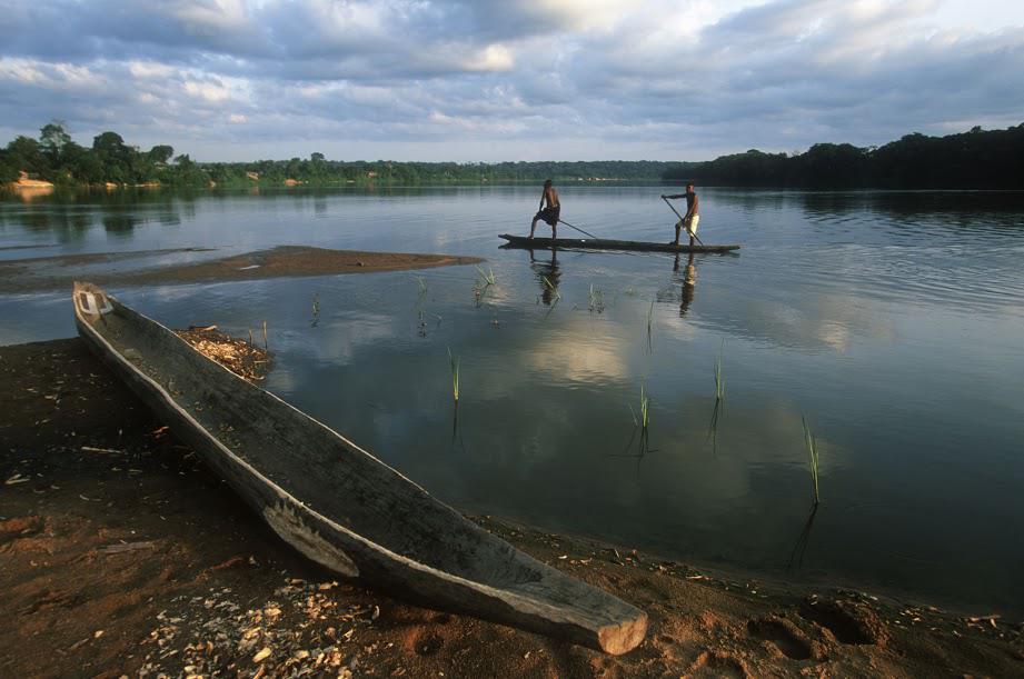 Deforestazione, bracconaggio, illecite attività estrattive e conflitti armati minacciano il Parco di Dzanga Sangha nel Bacino del Congo, uno dei luoghi del Pianeta dove la distruzione delle risorse ha raggiunto una pericolosa intensità: ogni anno, in questa parte dell’Africa si perdono 700mila ettari di foreste tropicali 