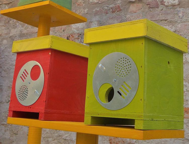 Expo: 'invasione' di api a Milano tra arnie d'artista e degustazioni