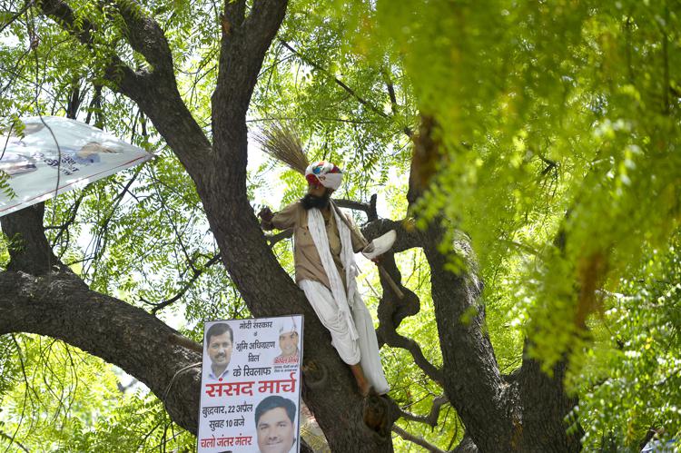 Gajendra Singh Rajput sull'albero prima del suicidio.   - (foto AFP)