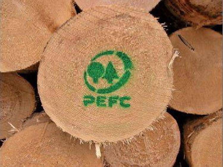 Ambiente: è certificata la superficie forestale più piccola al mondo/Focus