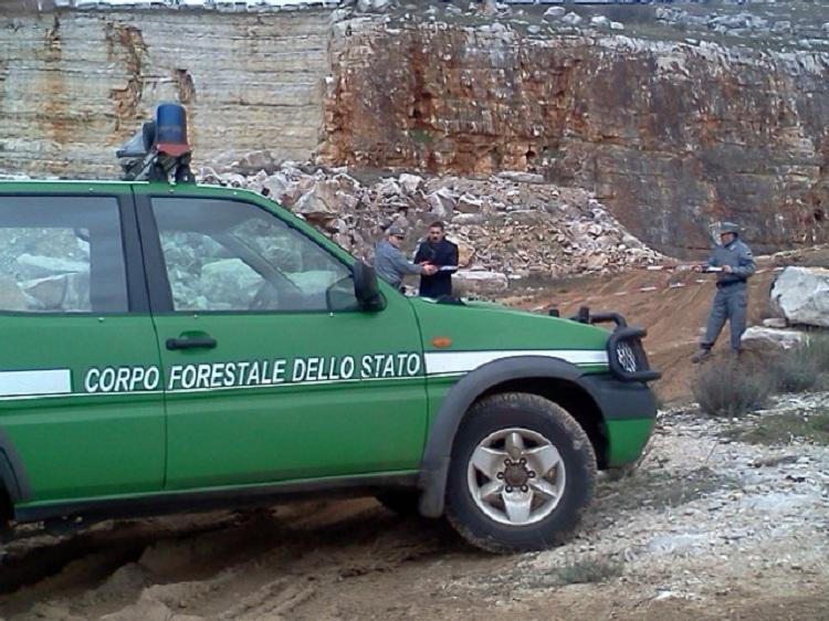 Cancellazione Forestale, Tar Pescara rinvia decreto a Consulta
