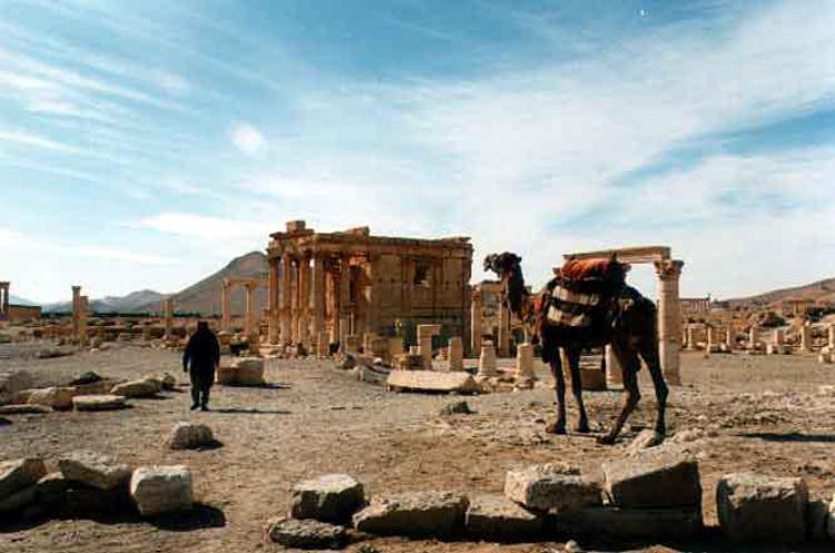 Il sito archeologico di Palmira