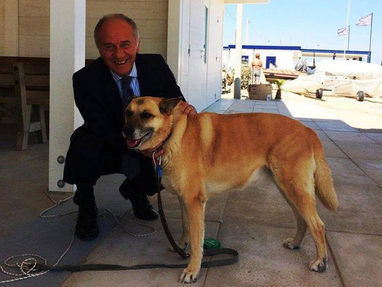 Il sindaco di Falconara Goffredo Brandoni con il cane Kyra