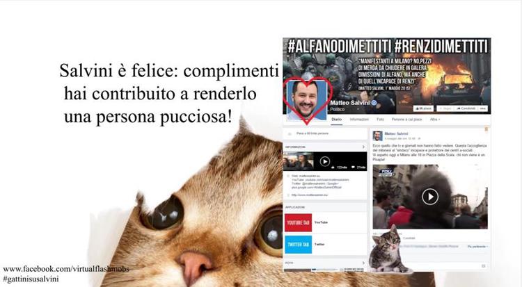 #GattiniSuSalvini, il virtual flash mob con micetti invade la bacheca del leader della Lega