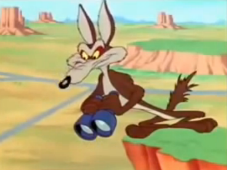Willy il coyote (fermo immagine YouTube)