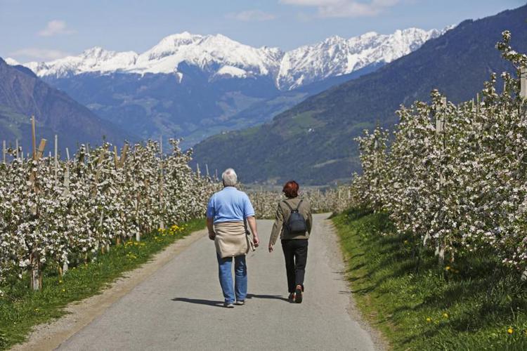Bolzano: cercasi assistente per Centro visite parco Naturno
