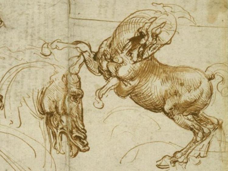 Particolare da uno degli studi su animali di Leonardo da Vinci della Royal Collection Trust  