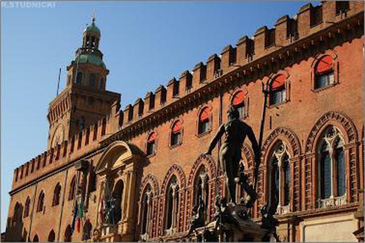 Bologna: ladri al museo, rubati corno rinoceronte e dente di narvalo
