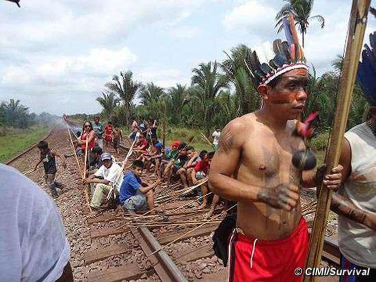 Amazzonia: ferrovia transamazzonica preoccupa tribù