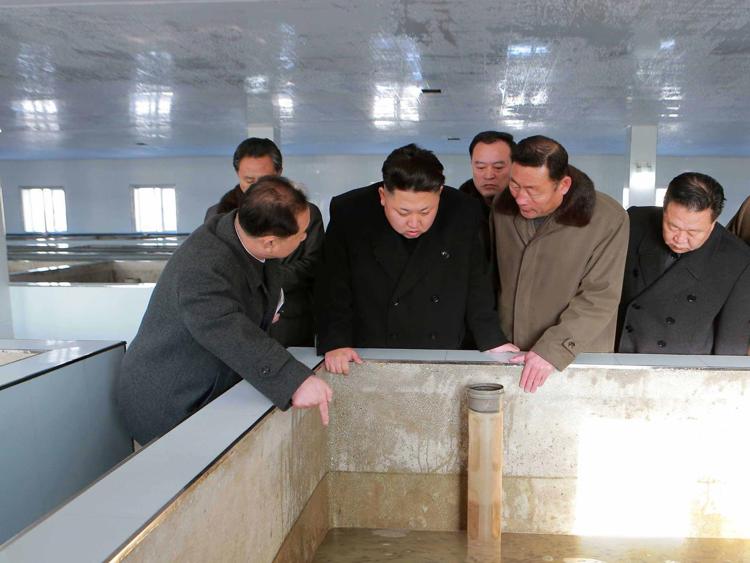 Kim Jong in visita (Xinhua)