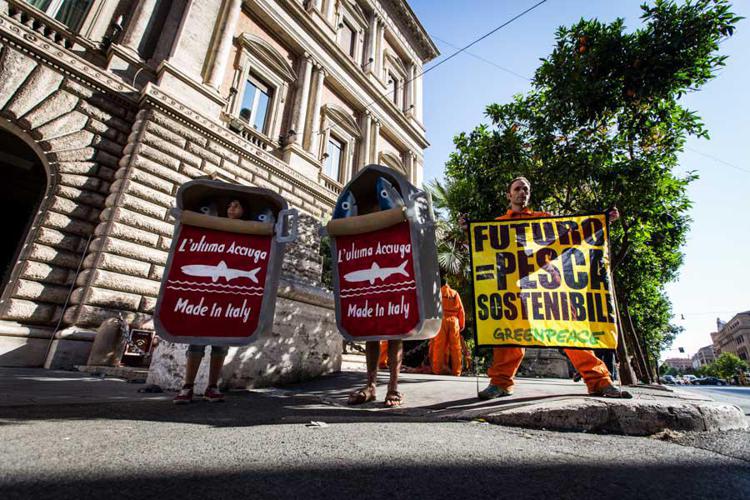Pesca: Greenpeace, non rinnovate licenze speciali nel Canale di Sicilia