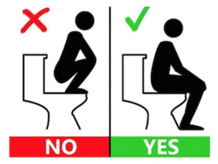 Uno dei cartelli che in Svizzera indicano ai turisti stranieri il corretto uso delle toilette.