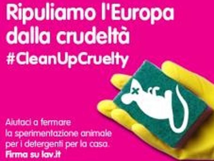 Animali: al via petizione 'cleanupcruelty', stop ai test per i detersivi