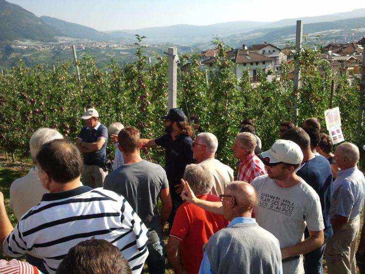 Valle d’Aosta: al via nuovi corsi di formazione in agricoltura