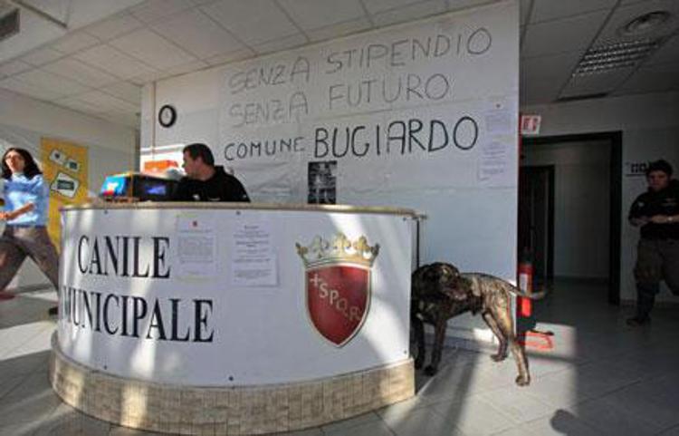 Roma: Avcpp, con dimissioni Marino incertezza anche per sorte canili pubblici