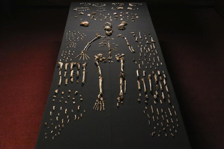 Homo Naledi   (Foto di John Hawks/University of Wisconsin-Madison) - John Hawks/University of Wiscons