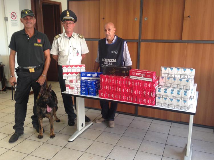 Contrabbando: 16 kg sigarette sequestrate da gdf ad Ancona grazie al cane 'Gaby'
