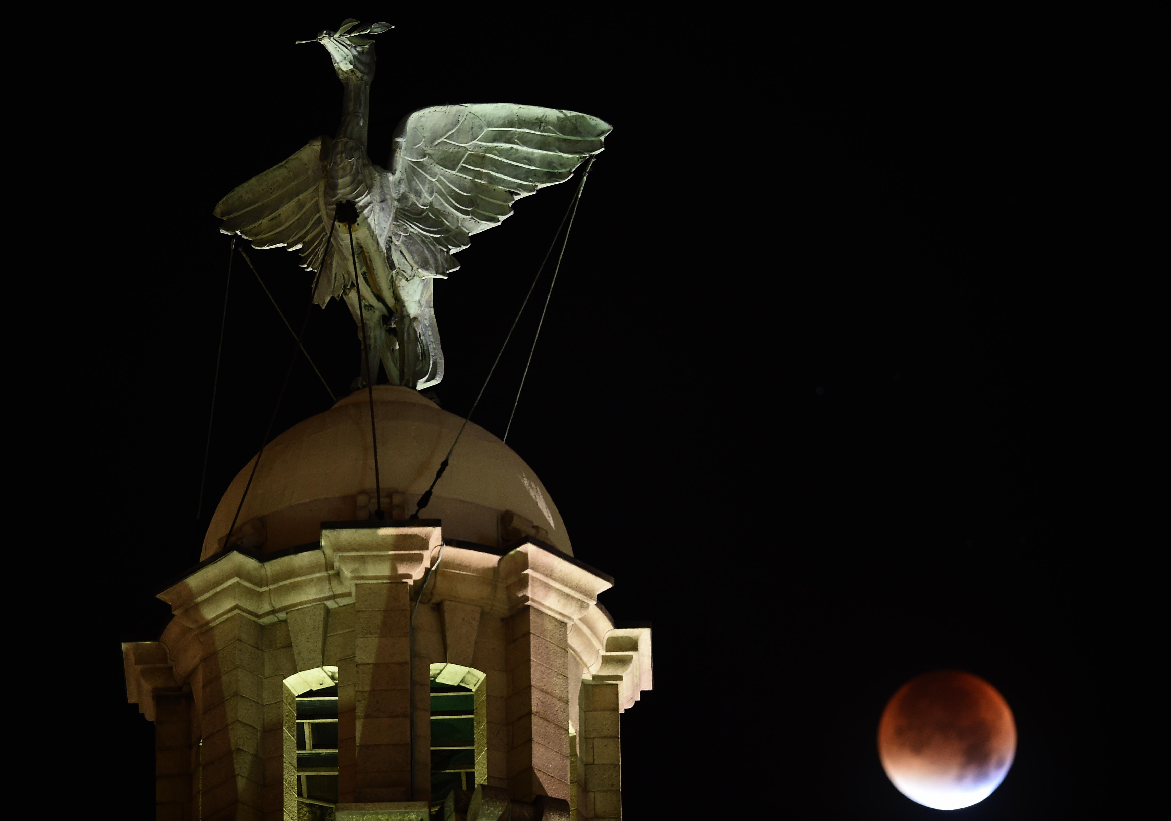 La luna diventa rossa dietro l'iconica Liver Bird sulla Liver Building a Liverpool, nord-ovest dell'Inghilterra (AFP PHOTO/PAUL ELLIS)