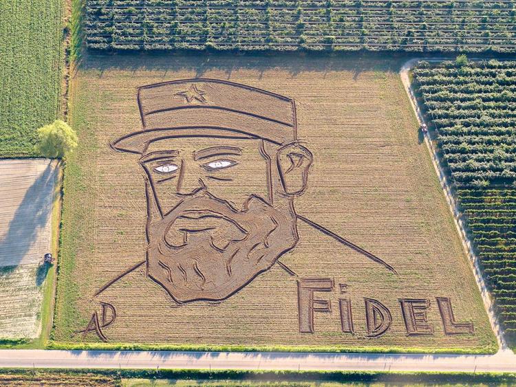 Il ritratto di Fidel Castro realizzato in stile Land Art da Dario Gambarin (foto Dario Gambarin) - DARIO GAMBARIN