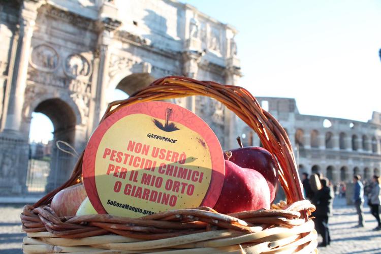 Alimenti: da Milano a Palermo volontari Greenpeace in piazza contro i pesticidi