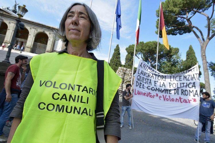 Roma: Avcpp, ancora nessuna legalità per canili comunali