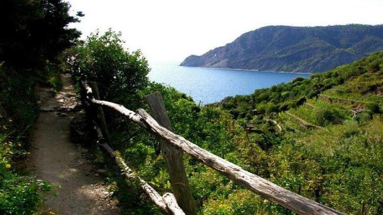 Dalle Cinque Terre a Ventimiglia: la Liguria vista dai suoi sentieri sui crinali dell'Appennino o a pochi metri dal mare