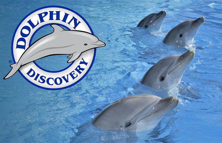 Imprese: Dolphin Discovery in Europa con acquisizione Zoomarine Italia