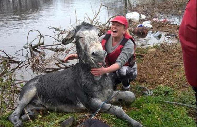 L'asinello Mike, sorridente fra le braccia di una volontaria (Facebook/ Animal Heaven Animal Rescue)