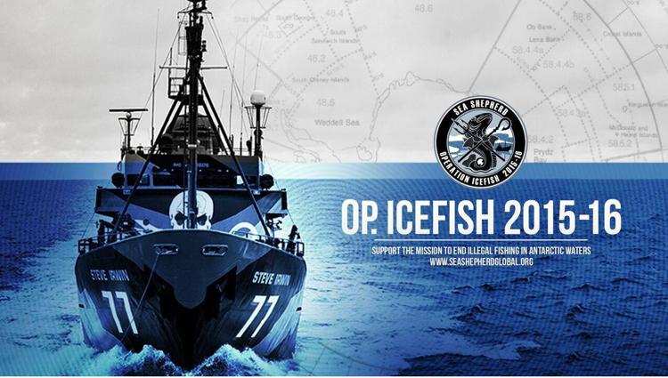 Ambiente: operazione Icefish, al via la campagna Sea Shepherd