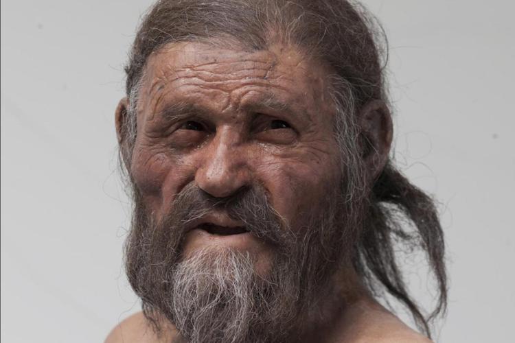 Scoperto nello stomaco della mummia di Oetzi il batterio dell'ulcera di 5.300 anni fa