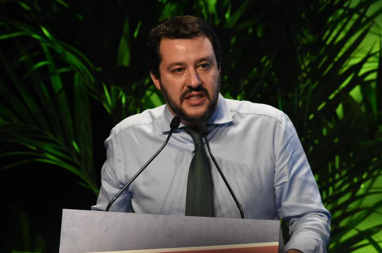 Matteo Salvini (Fotogramma) 