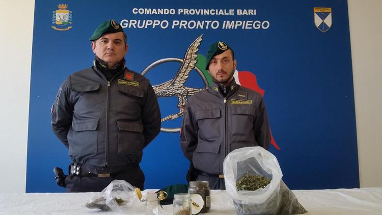 Bari: 50enne incensurata con 'hobby' coltivazione marijuana, arrestata