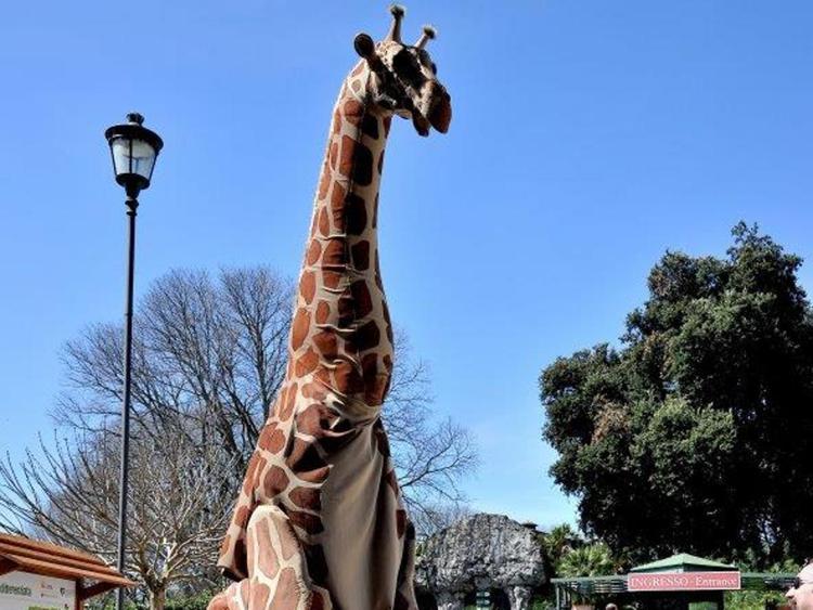 Animali: domani al Bioparco di Roma il 'Carnevale giraffoso'