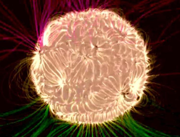 Il campo magnetico del Sole in un video della Nasa /Guarda